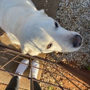 Meet your Posher, Ruby